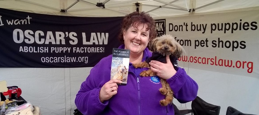 Who are Petcarers? -  Five Minutes with Sharon Moore