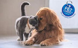 Petcarers Gift Card - $25, $50, $75 or $100 to choose from.