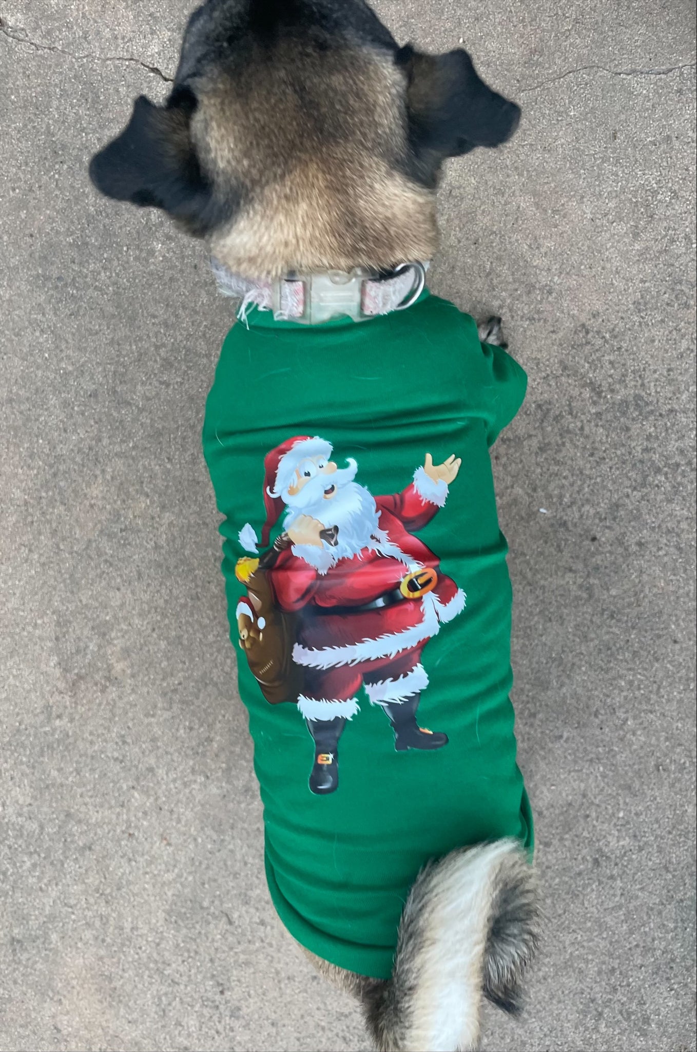 Dog Christmas T-Shirts - have your doggy family member to be part of the Christmas festivities.