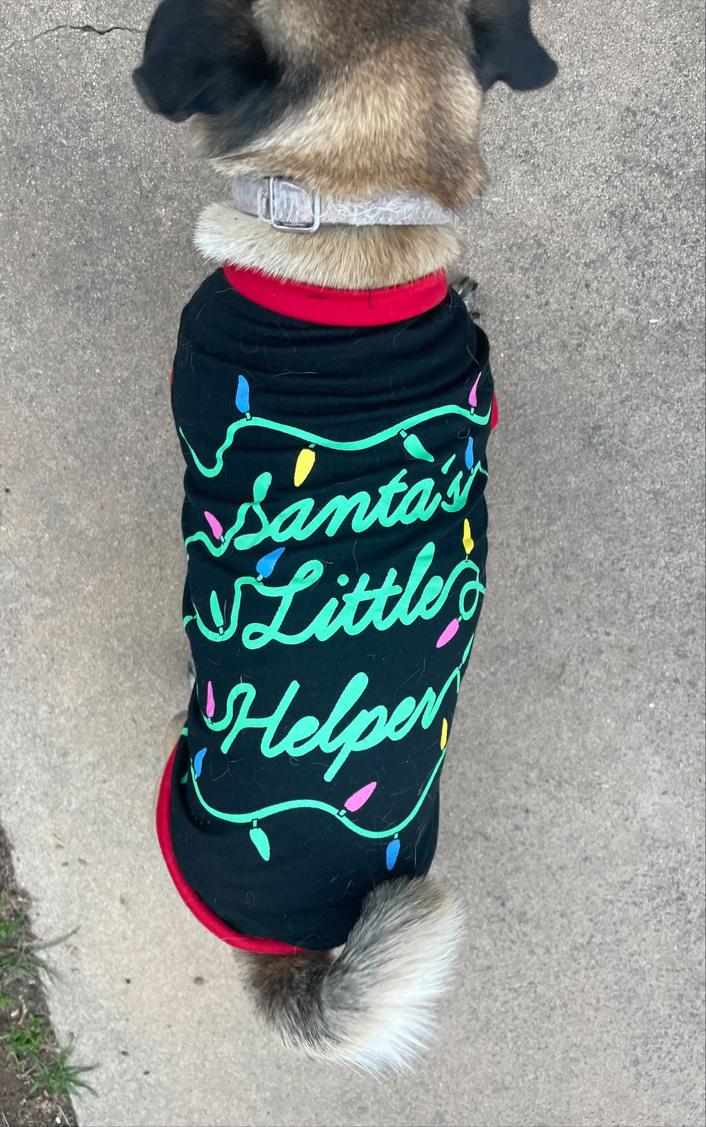 Dog Christmas T-Shirts - have your doggy family member to be part of the Christmas festivities.